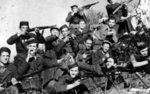 Lovćenske brigade